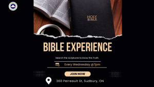 Bible Experience